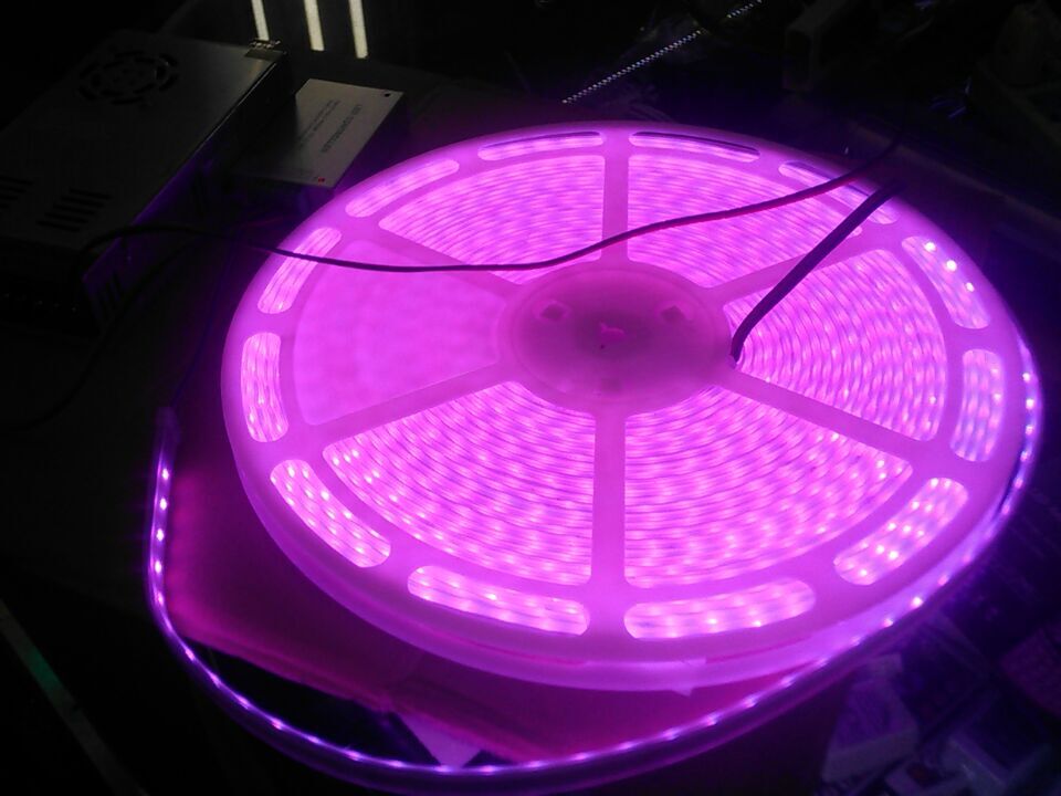 24V_20M_RGB_LED_Strip_10