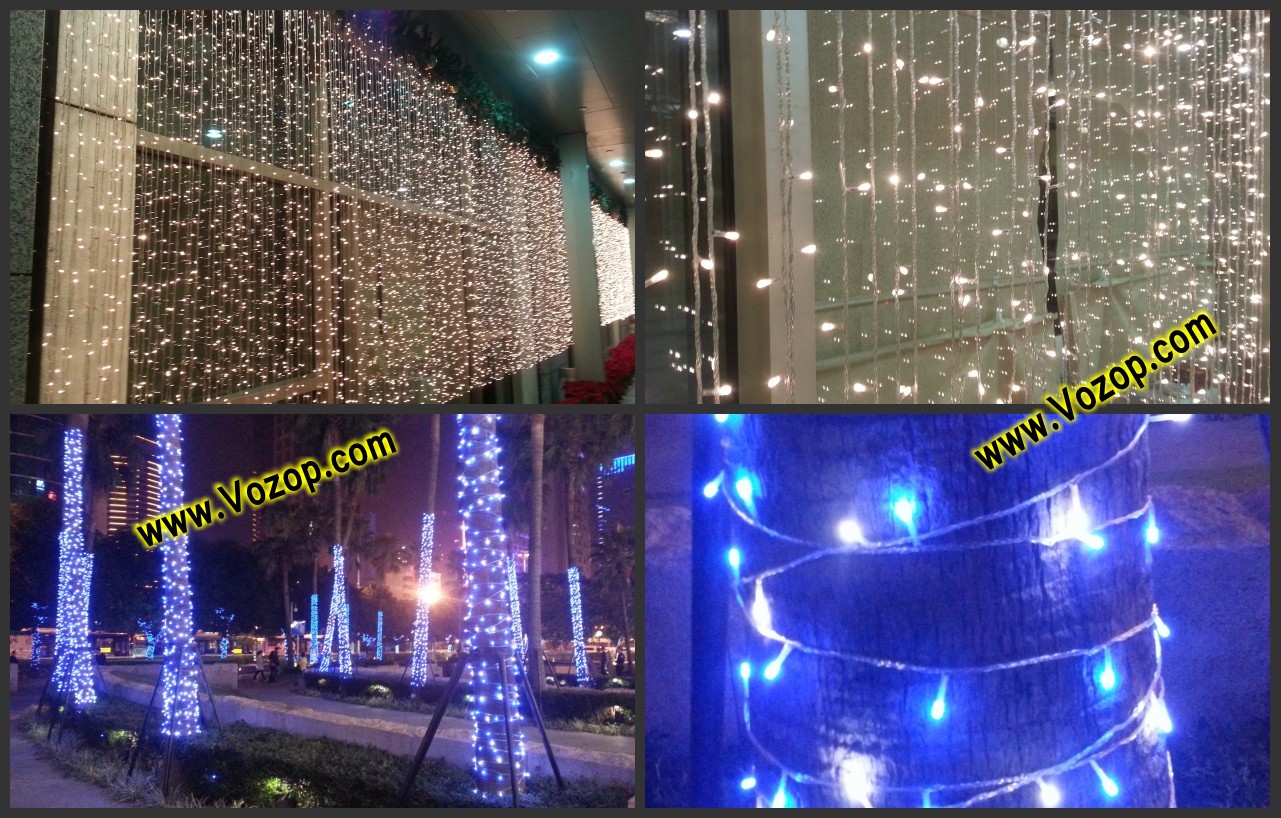 Beautifully_LED_fairy_lights_display_on_wall_on_trees_led_lights_decorations