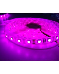 Pink LED Strip Light SMD 5050 5M 300 LEDs 12V 24V Waterproof