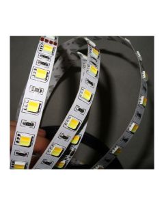 5M 24V 5050 60LEDs/m LED Strip Color Temperature Adjustable Flex Light