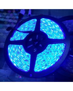 Common Cathode LED Lights 5050 RGB LED RIbbon Tape Strip